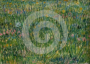 Patch of grass by famous Dutch painter Vincent Van Gogh photo